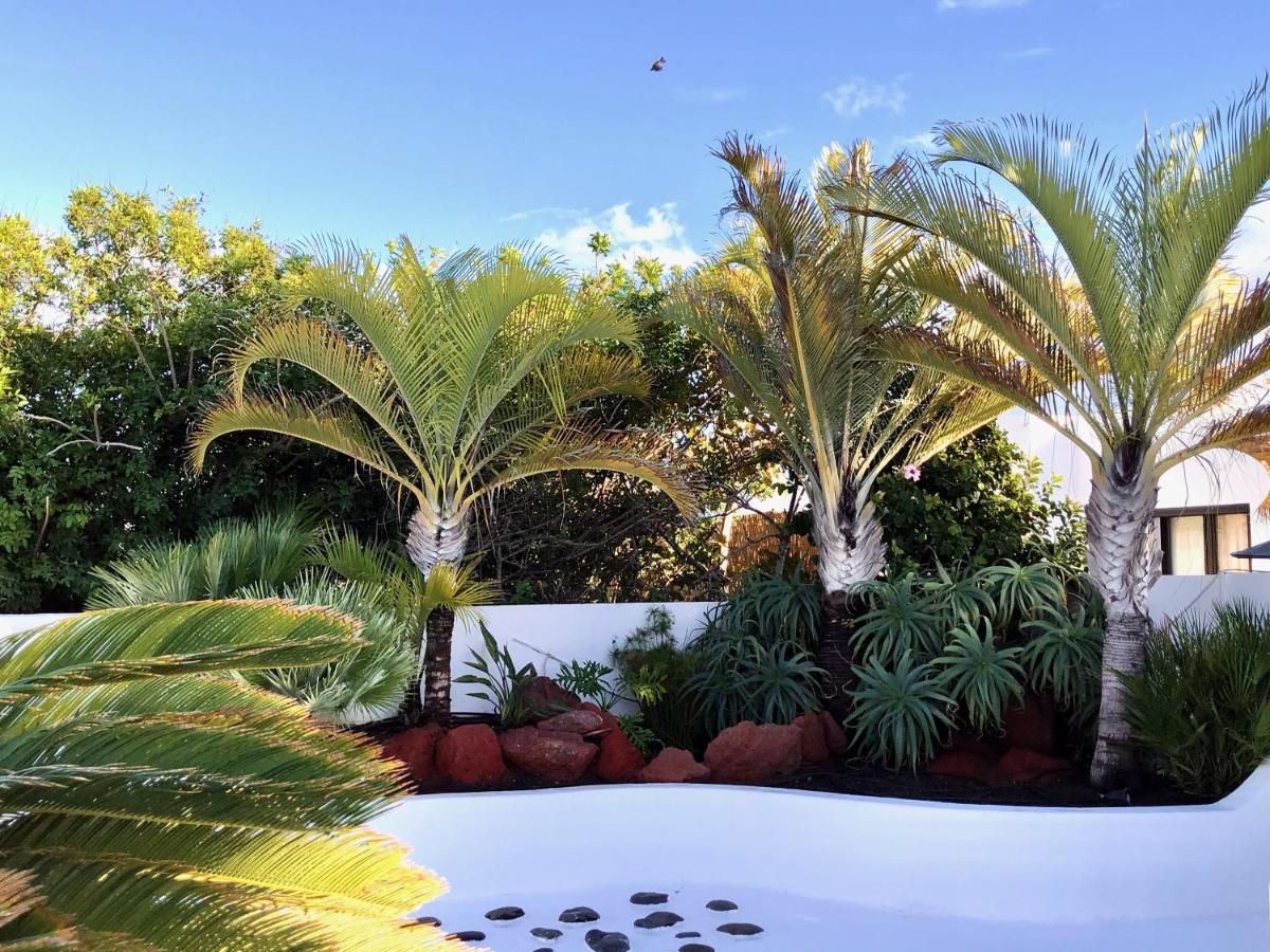 Villa Picasso Private Pool Playa Blanca  Extérieur photo